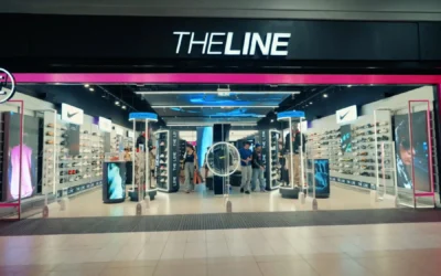 Continuidad Operativa TI para Retail Multimarca – Theline Group