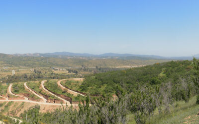 Automatización de Accesos en Condominio de Parcelas – Limache